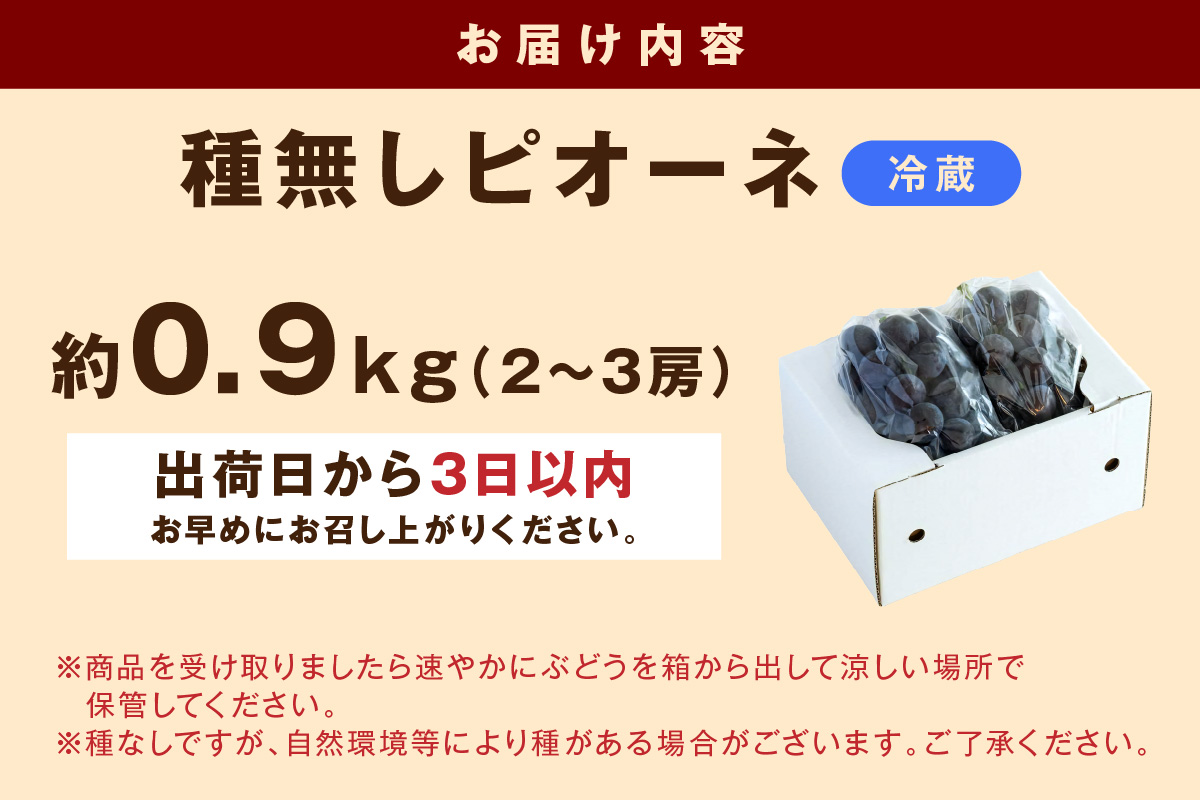 【先行予約】種無しピオーネ 約0.9kg 2～3房 《8月下旬頃から発送》果物 ピオーネ ぶどう 【183_1883】