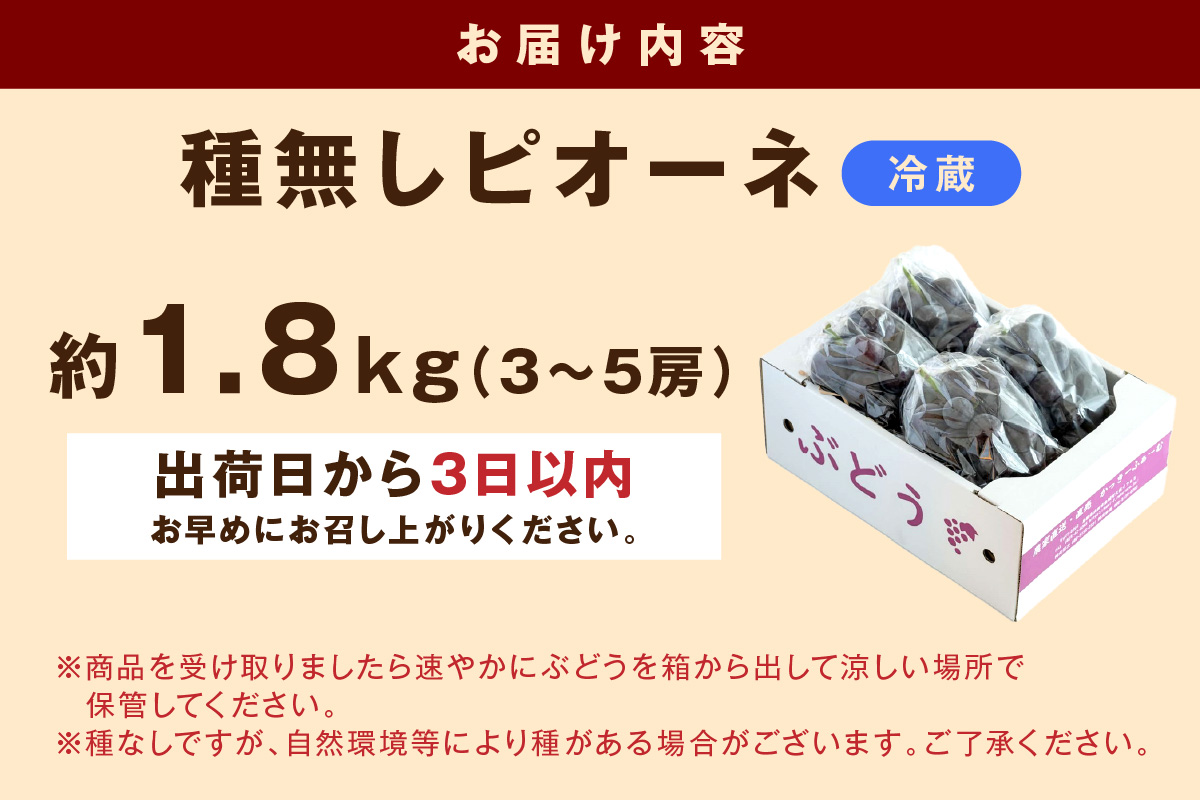 【先行予約】種無しピオーネ 約1.8kg 3～5房《8月下旬頃から発送》 果物 ピオーネ ぶどう 【183_1884】