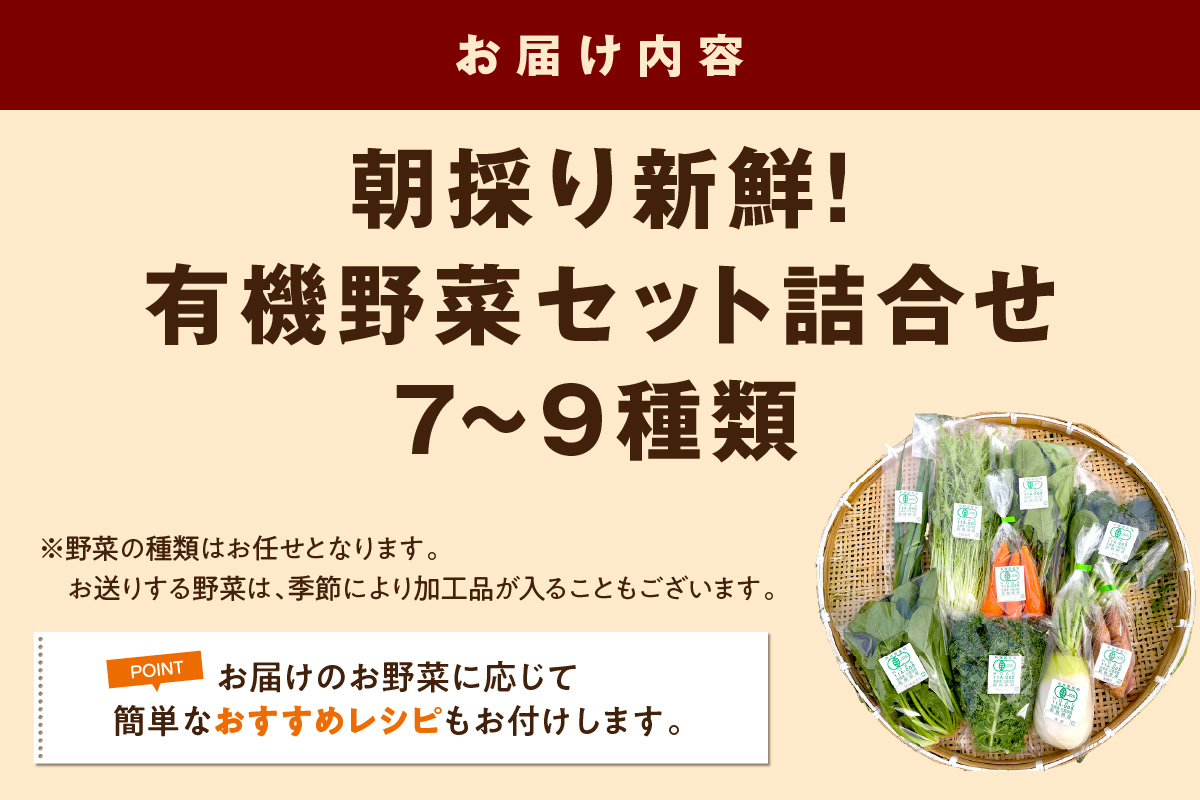 朝採り新鮮！有機野菜セット詰合せ（7～9種類） 採れたて 産地直送 葉物 有機JAS認証 野菜セット 旬の野菜 野菜 【139_1918】