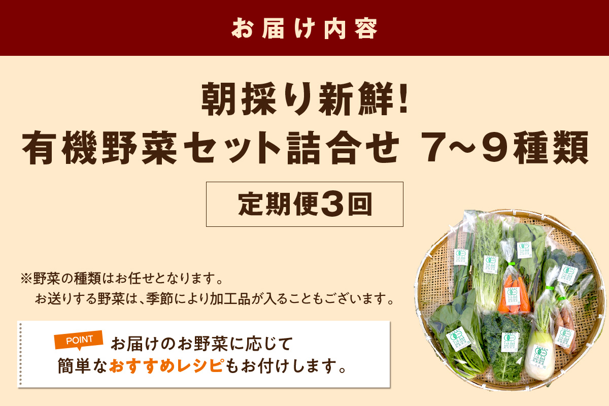 朝採り新鮮！有機野菜セット詰合せ（7～9種類）3回コース【定期便】 定期便 採れたて 産地直送 葉物 有機JAS認証 野菜セット 旬の野菜 ふるさと納税 野菜【139_1919】