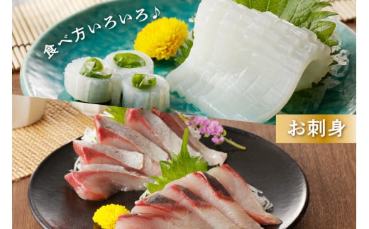 この男に任せてみませんか～浜田の旨い鮮魚直送便（下処理なし）～ 海鮮 鮮魚 詰め合わせ セット おまかせ 旬 直送便 人気 お取り寄せ【006_2048】