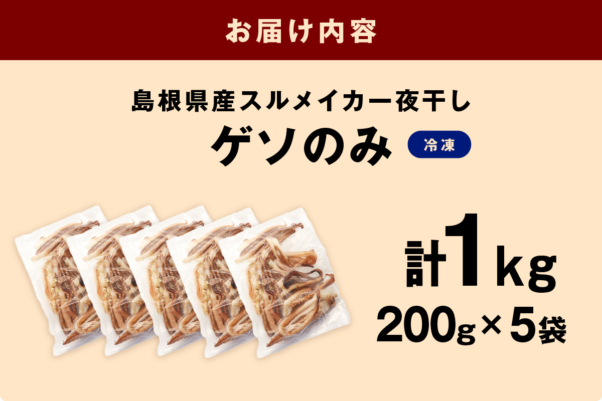【訳あり】スルメイカ一夜干し”ゲソのみ” 計1kg（200gｘ5袋） 産地直送 干物 人気 大容量 小分け 訳あり 焼き 揚げ物 塩味付 いか ゲソ おつまみ 一夜干し 【005_0140】