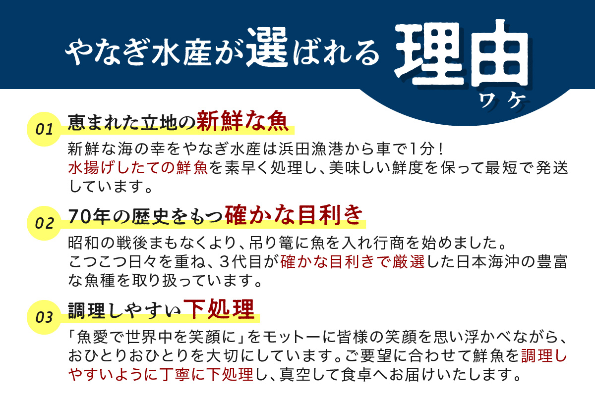 【定期便】どんちっち浜田【極み】鮮魚 2回コース～最高級この男シリーズ～ 海鮮 鮮魚 詰め合わせ セット【006_2051】