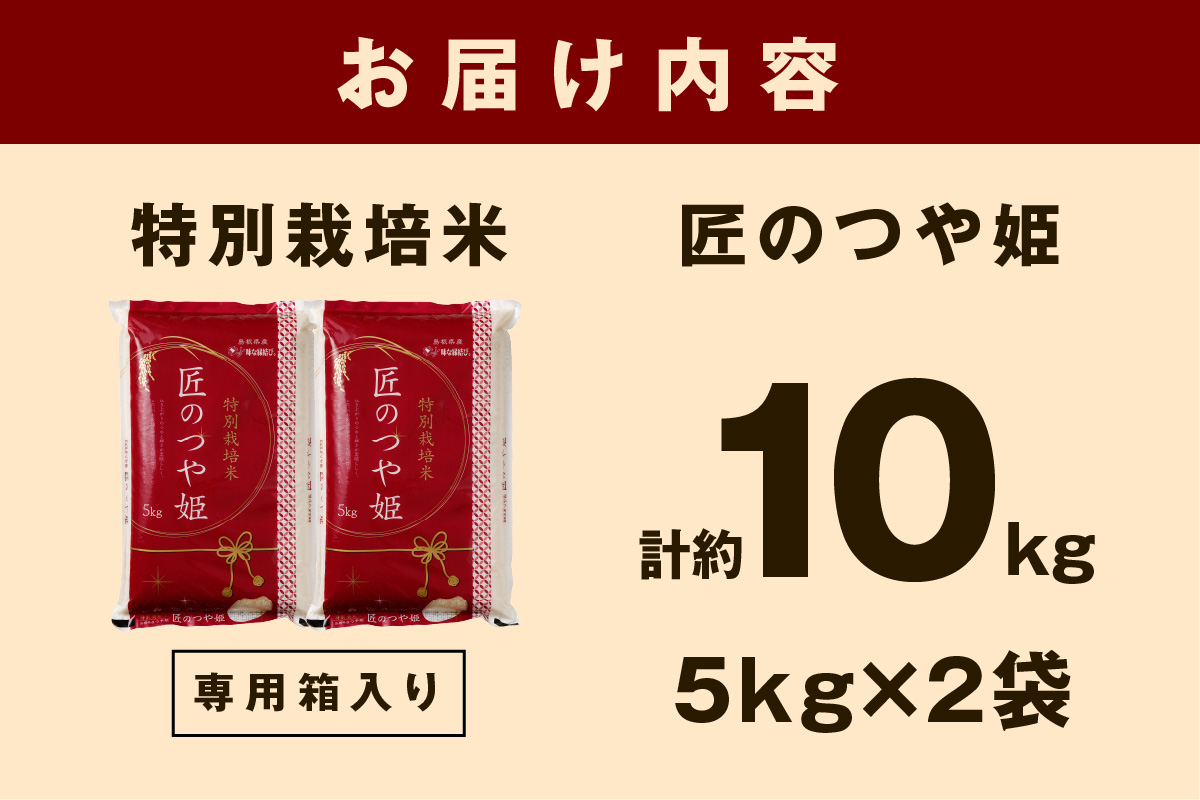 【令和7年産】特別栽培米「匠のつや姫」5kg×2袋 米 お米 つや姫 つやひめ 10キロ 2袋 お取り寄せ 人気 特A 【058_1846】
