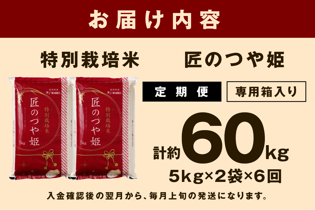【定期便】【令和6年産】特別栽培米「匠のつや姫」（10kg×6回コース）米 お米 定期便 米 つや姫 白米 精米 お米 特産品 【058_1806】