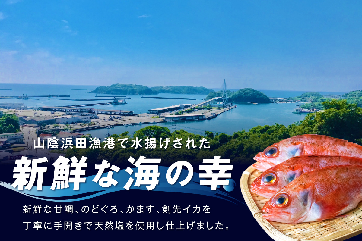 山陰浜田港 水揚げされた大きめ人気干物セット 魚介類 魚貝類 魚介 魚 干物 干もの 一夜干し 干物セット セット 加工品 【025_0426】