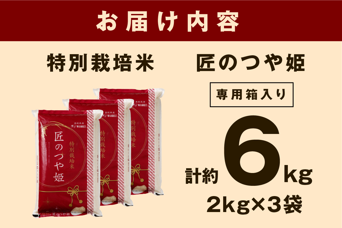 【令和6年産】特別栽培米「匠のつや姫」（2kg×3袋） 米 お米 精米 白米 つや姫 ごはん お取り寄せ 特産 新生活 応援 準備 特別栽培米 【058_1812】