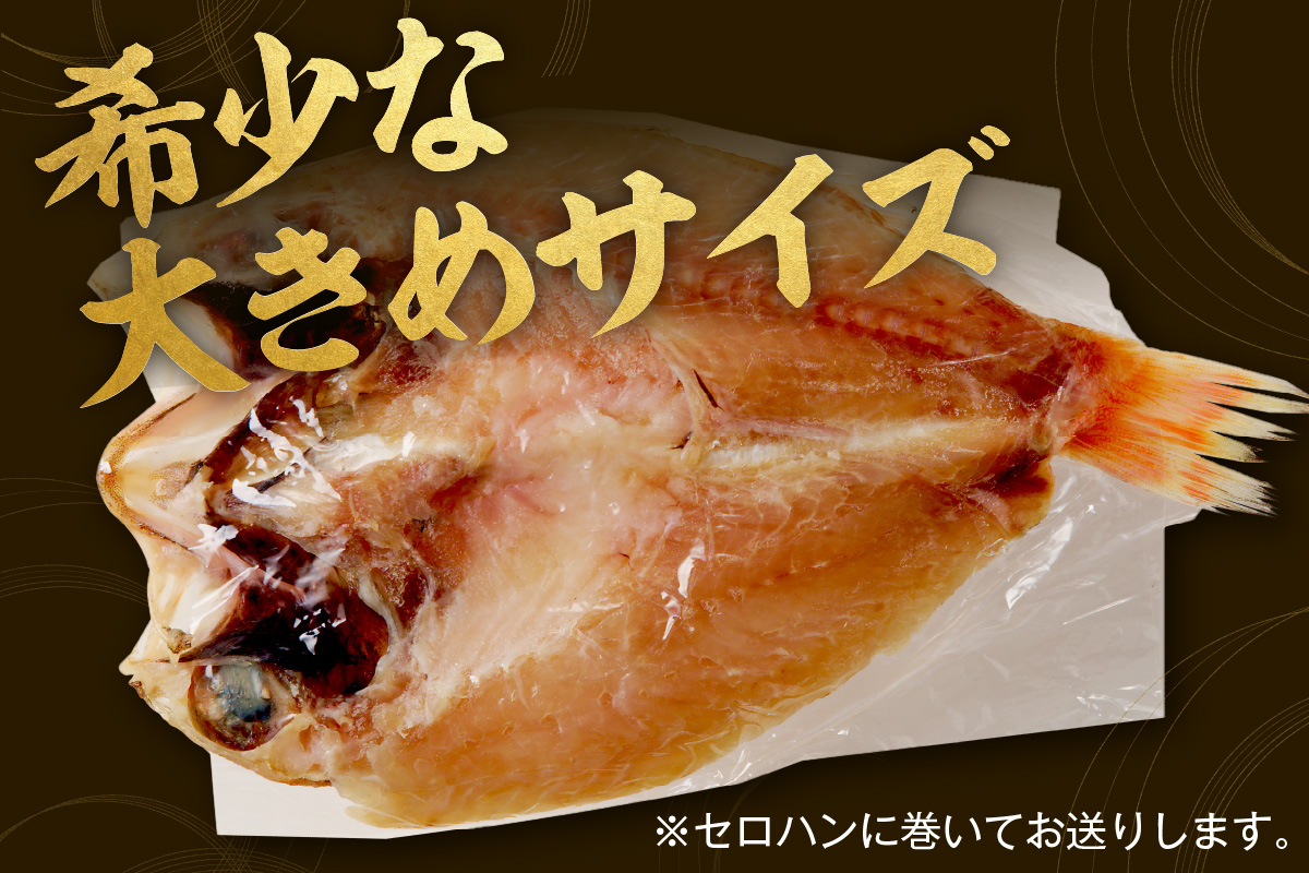 山陰浜田 香住屋のこだわり干物「大きめのどぐろ一夜干し」（3～4尾） 魚介類 のどぐろ 一夜干し 干物 ふるさと納税 のどくろ セット 【024_1983】