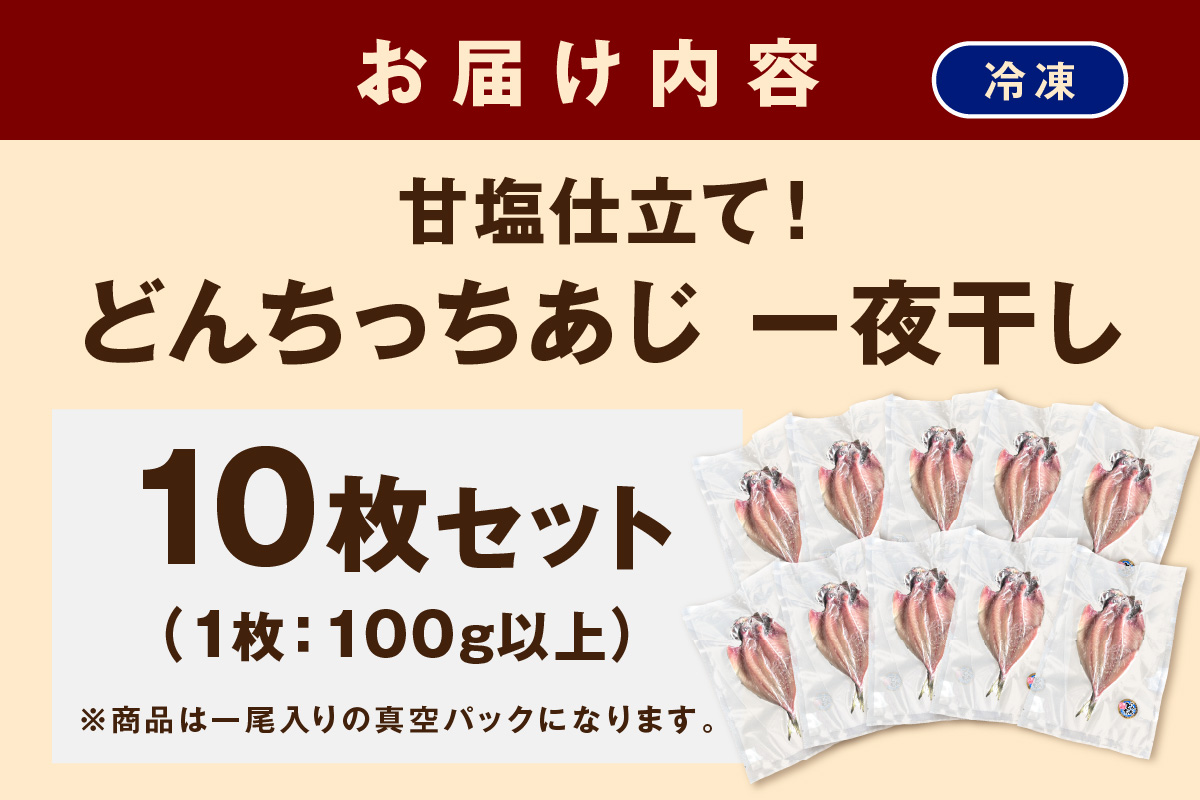 どんちっちあじ一夜干し10枚セット 魚介類 魚 干物 一夜干し あじ 鯵 セット 【136_1970】