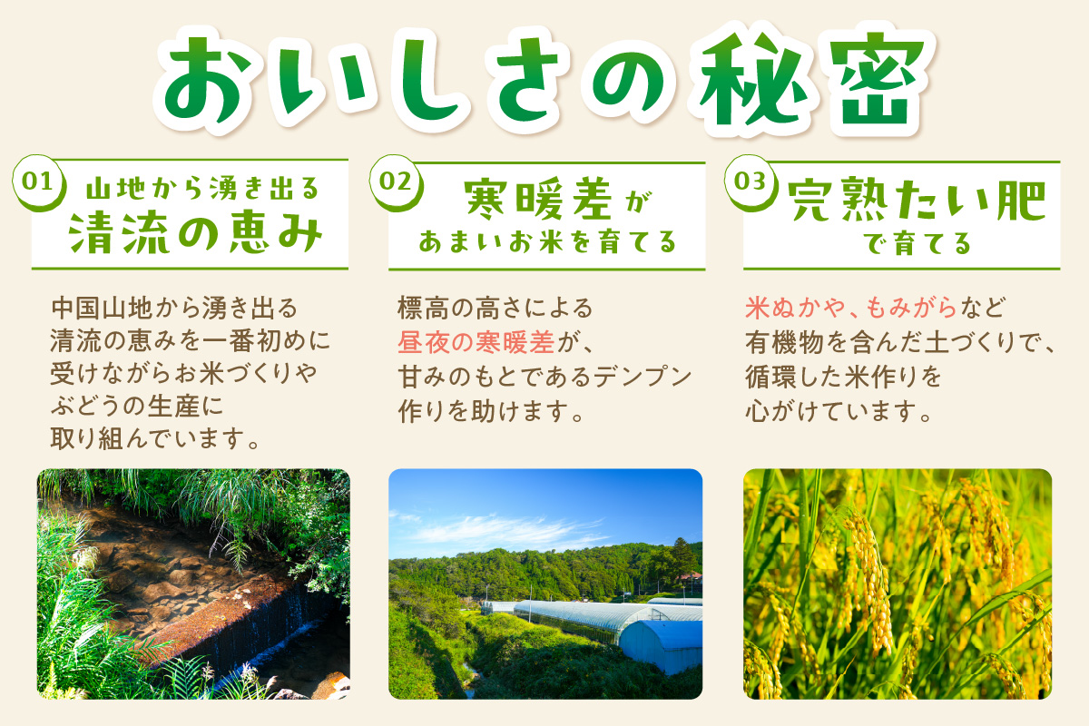 【定期便】【令和6年産】浜田市金城町産コシヒカリ「おぐに米」10kg定期便（6回コース）＜10月下旬以降の発送予定＞ 定期便 10キロ 6回 米 お米 こしひかり 白米 特産品 お取り寄せ 精米 小分け 【071_2066】
