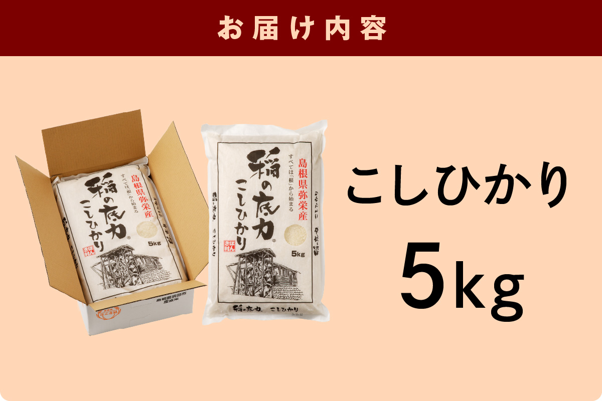 【令和7年産】浜田市産「稲の底力こしひかり」5kg 米 お米 こしひかり 新生活 応援 準備 5キロ 1等米【197_1955】