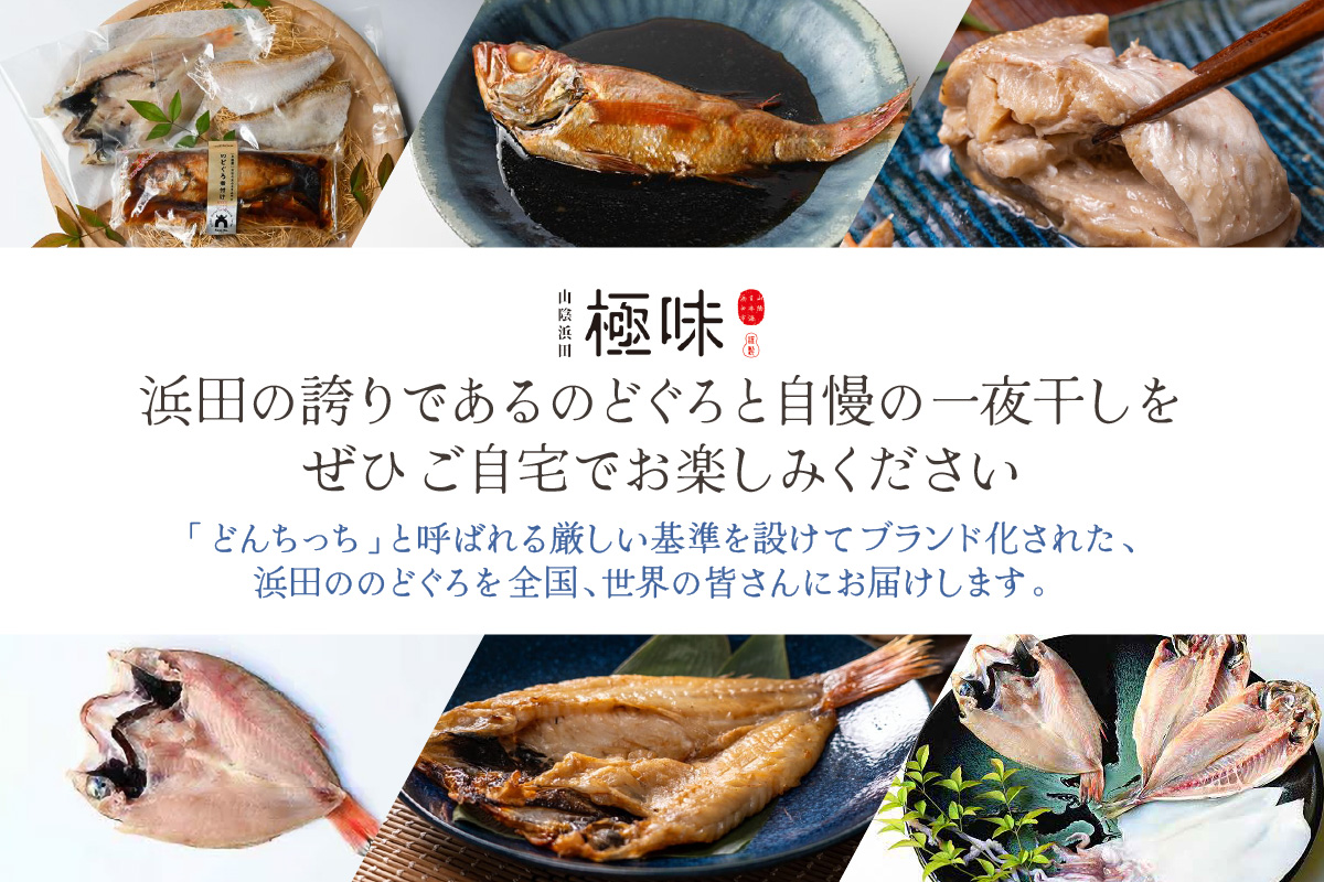 山陰浜田極味 のどぐろ一夜干し（大）5枚入り のどぐろ 魚介 おかず おつまみ 個包装 贈答 父の日 お中元 お歳暮 のどぐろ 干物 【164_1845】