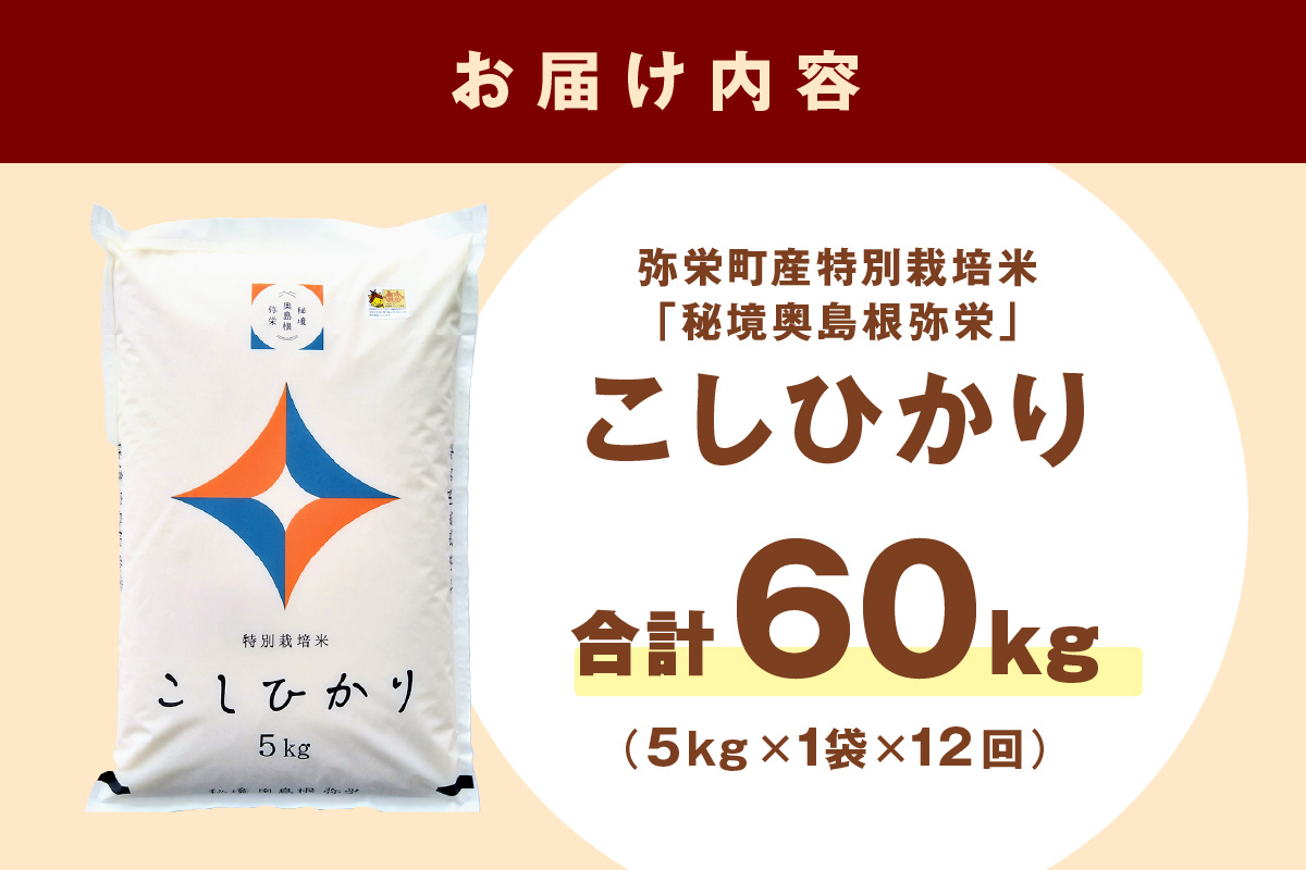 【定期便】【令和7年産】弥栄町産特別栽培米「秘境奥島根弥栄」こしひかり5kg（12回コース） 定期便 12回 お米 こしひかり 5キロ 【090_1878】