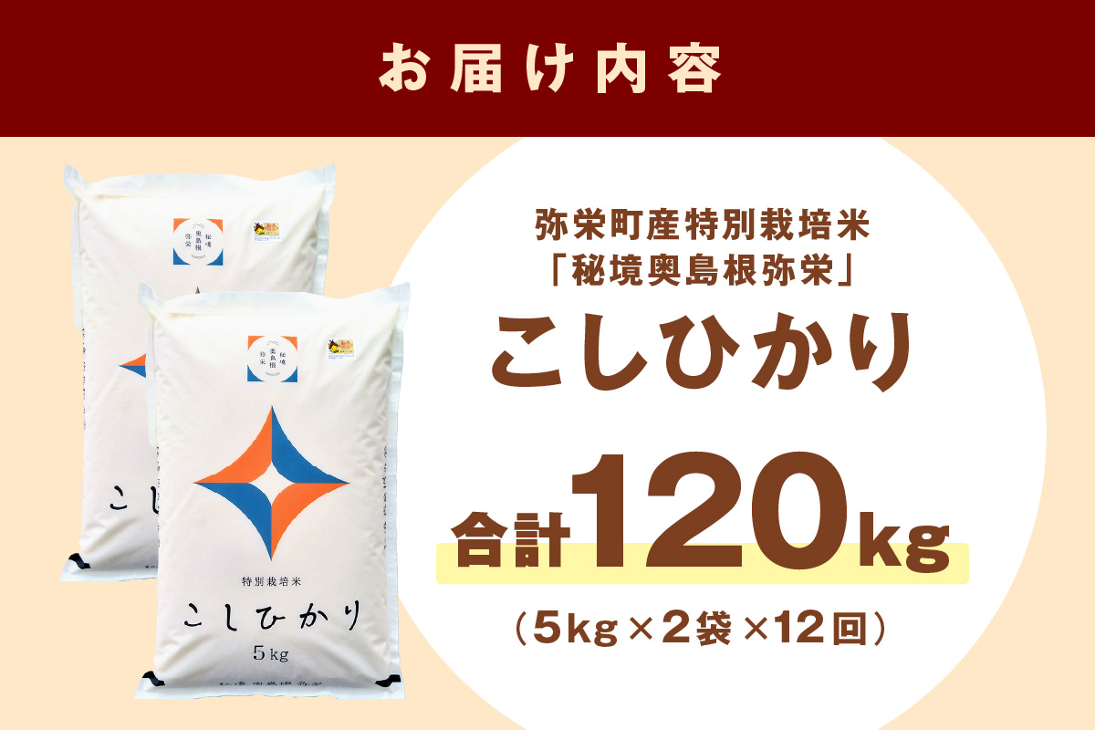 【定期便】【令和7年産】弥栄町産特別栽培米「秘境奥島根弥栄」こしひかり10kg（12回コース） 米 お米 こしひかり 特別栽培米 精米 白米 ごはん 定期 定期便 12回 お取り寄せ 特産 新生活【090_1880】