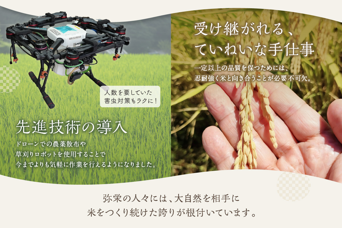 特別栽培米 秘境奥島根弥栄お米キューブとポン菓子セット 米 お米 つや姫 こしひかり ポン菓子 お菓子 お茶請け セット 詰め合わせ 【090_1873】