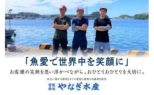 この男に任せてみませんか～浜田の旨い鮮魚直送便（下処理なし）～ 海鮮 鮮魚 詰め合わせ セット おまかせ 旬 直送便 人気 お取り寄せ【006_2048】