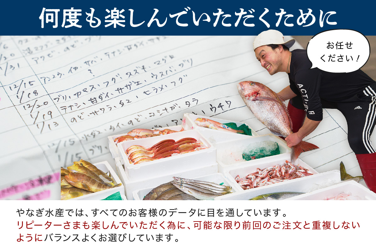 【定期便】どんちっち浜田【極み】鮮魚 2回コース～最高級この男シリーズ～ 海鮮 鮮魚 詰め合わせ セット【006_2051】