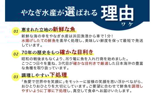 【定期便】どんちっち浜田【極上】の鮮魚 15回～最高級この男シリーズ～ 【006_2053】