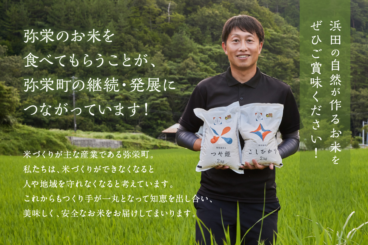 【令和7年産】弥栄町産特別栽培米「秘境奥島根弥栄」つや姫5kg 米 お米 5キロ お取り寄せ 特産 精米 白米 ごはん ご飯 コメ 【090_1885】