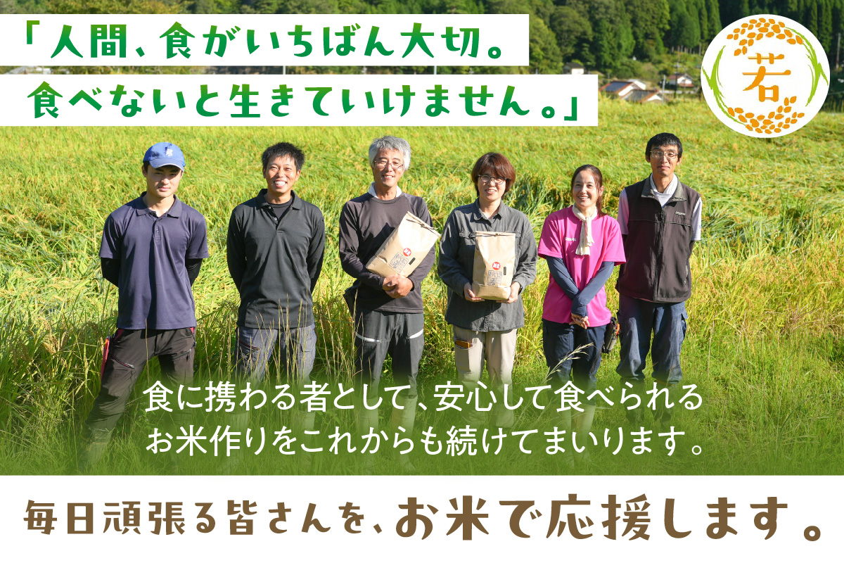 【定期便】【令和6年産】浜田市金城町産コシヒカリ「おぐに米」10kg定期便（6回コース）＜10月下旬以降の発送予定＞ 定期便 10キロ 6回 米 お米 こしひかり 白米 特産品 お取り寄せ 精米 小分け 【071_2066】