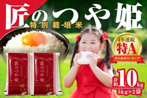 【令和7年産】特別栽培米「匠のつや姫」5kg×2袋 米 お米 つや姫 つやひめ 10キロ 2袋 お取り寄せ 人気 特A 【058_1846】