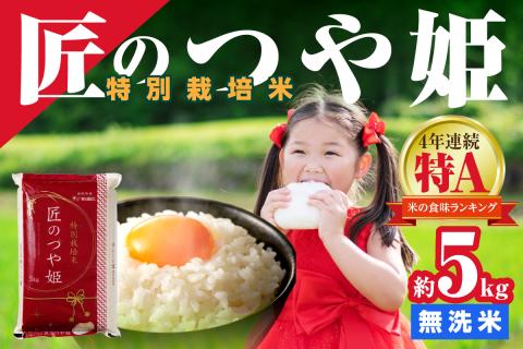 【令和6年産】無洗米 特別栽培米「匠のつや姫」 5kg 米 無洗米 特別栽培米 つや姫 精米 白米 5キロ 【058_1832】
