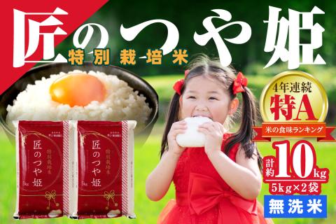 【令和6年産】無洗米 特別栽培米「匠のつや姫」 5kg×2袋 米 白米 精米 無洗米 特別栽培米 つや姫 合計 10kg 10キロ 【058_1833】