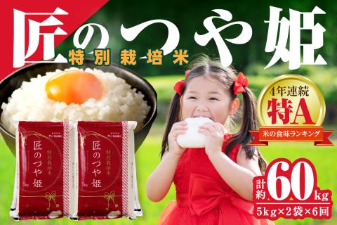 【定期便】【令和6年産】特別栽培米「匠のつや姫」（10kg×6回コース）米 お米 定期便 米 つや姫 白米 精米 お米 特産品 【058_1806】
