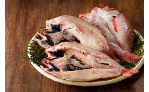 干さない干物極上のどぐろ Dセット 魚介 特大 のどぐろ セット ふるさと納税 のどくろ 魚介類 魚貝類 干物 干もの 一夜干し 真空 贈答 贈り物 ギフト プレゼント 【097_0734】