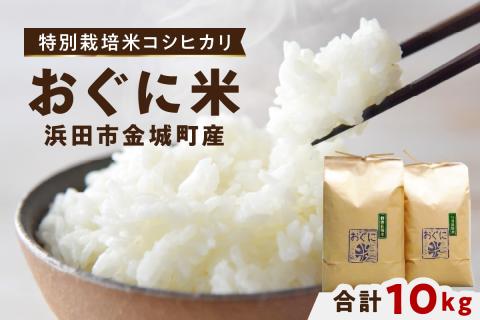 【令和6年産】浜田市金城町産の美味しいコシヒカリ100％【おぐに米】10kg 10キロ 米 おこめ コシヒカリ 白米 精米 特産品 ごはん お取り寄せ 小分け 【071_2065】