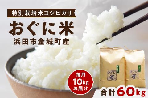 【定期便】【令和6年産】浜田市金城町産コシヒカリ「おぐに米」10kg定期便（6回コース）＜10月下旬以降の発送予定＞ 定期便 10キロ 6回 米 お米 こしひかり 白米 特産品 お取り寄せ 精米 小分け 【071_2066】