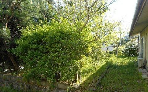 空き家見守りサービス 見守り 見守りサービス 空き家 代行 年2回 島根県 浜田市 【134_1522】