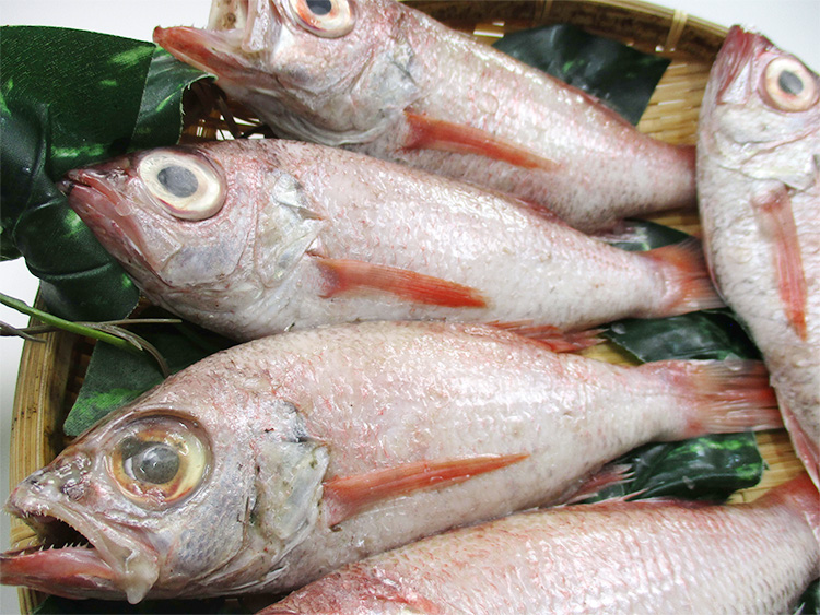 大秀商店の「のどぐろ（煮付け用）」（5尾入り） 魚介類 魚 海鮮 のどぐろ 煮つけ用 煮付け用 5尾 下処理済 冷凍 【038_1201】