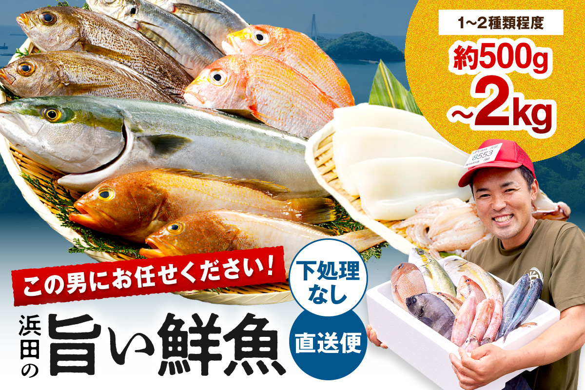 この男にお任せ！浜田の厳選鮮魚お試し便（下処理なし） 【006_2054】