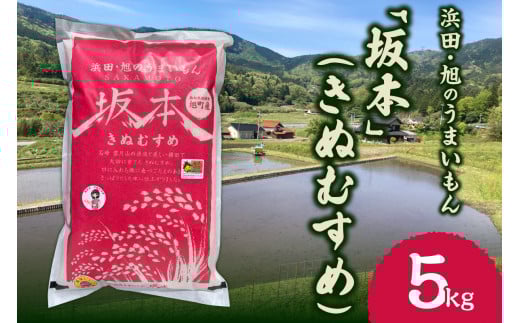 【令和6年産】浜田・旭のうまいもん「坂本」（きぬむすめ）5kg＜10月21日から発送＞ 【118_1163】