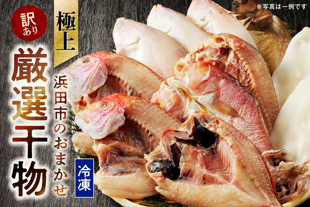 極上!!干物屋推薦 厳選干物 訳あり商品が入ってます!! 魚介類 セット 干物 乾物 ふるさと納税 訳あり 海の幸 魚介類 魚貝類 干物 一夜干し 干物セット【033_1776】