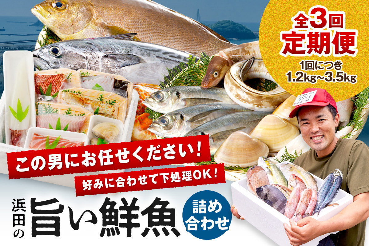 【鮮魚屋にお任せ！大満足の定期便】【定期便】 この男の目利き！～浜田の旨い鮮魚3回お届けコース～ 定期便 3回 海鮮セット 海鮮 鮮魚 セット 下処理済み おすすめ 返礼品 お取り寄せ 人気 【006_2042】