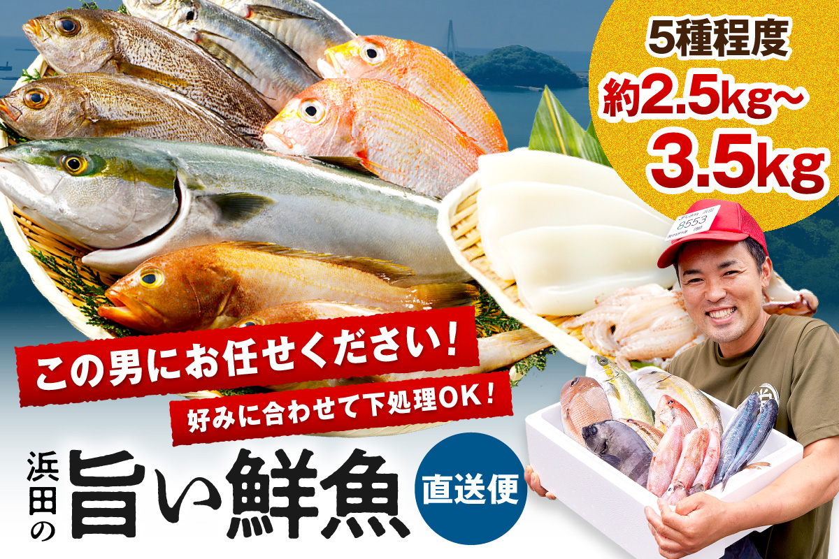 この男に任せてみませんか～浜田の旨い鮮魚直送便～ 海鮮 鮮魚 詰め合わせ セット おまかせ 人気 お取り寄せ 【006_2043】