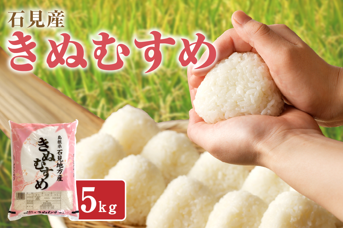 【令和7年産】 石見産きぬむすめ　５ｋｇ 米 お米 きぬむすめ 精米 白米 ごはん お取り寄せ 特産 新生活 応援 準備 【058_1850】