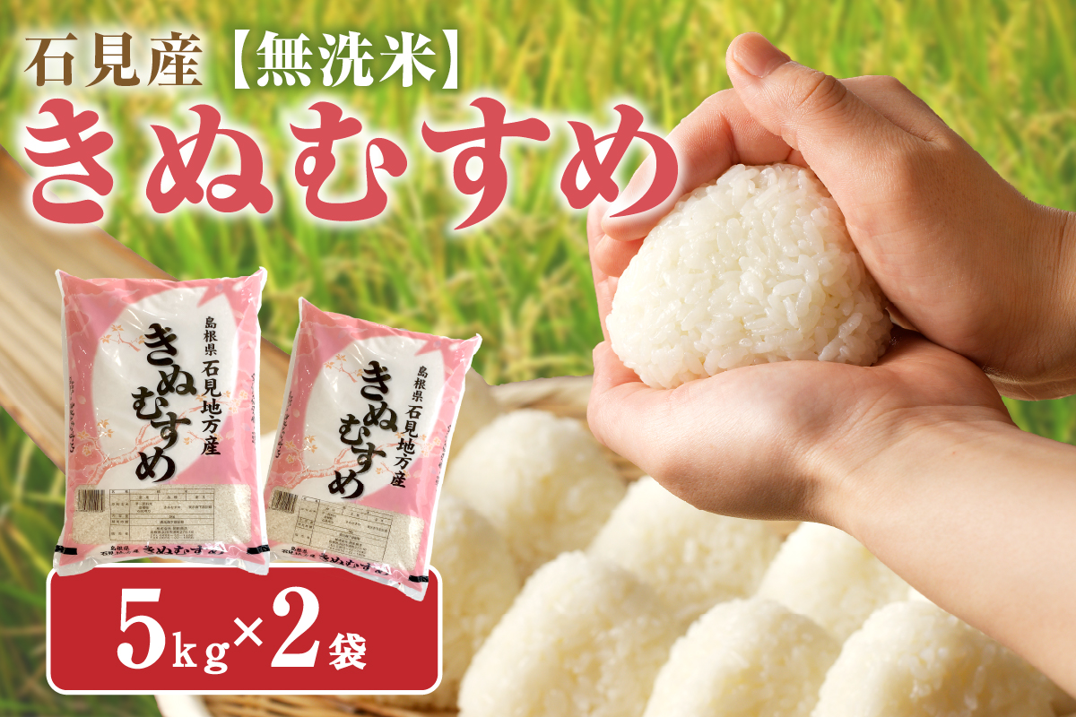 【令和6年産】無洗米 石見産きぬむすめ 5kg×2袋 米 白米 精米 応援 準備 新生活応援 お取り寄せ 特産 【058_1825】