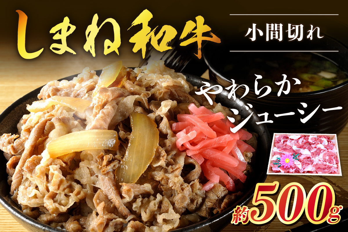 神話の国島根が誇る逸品 しまね和牛 小間切れ 肉 牛肉 和牛 国産牛 黒毛和牛 【057_1313】
