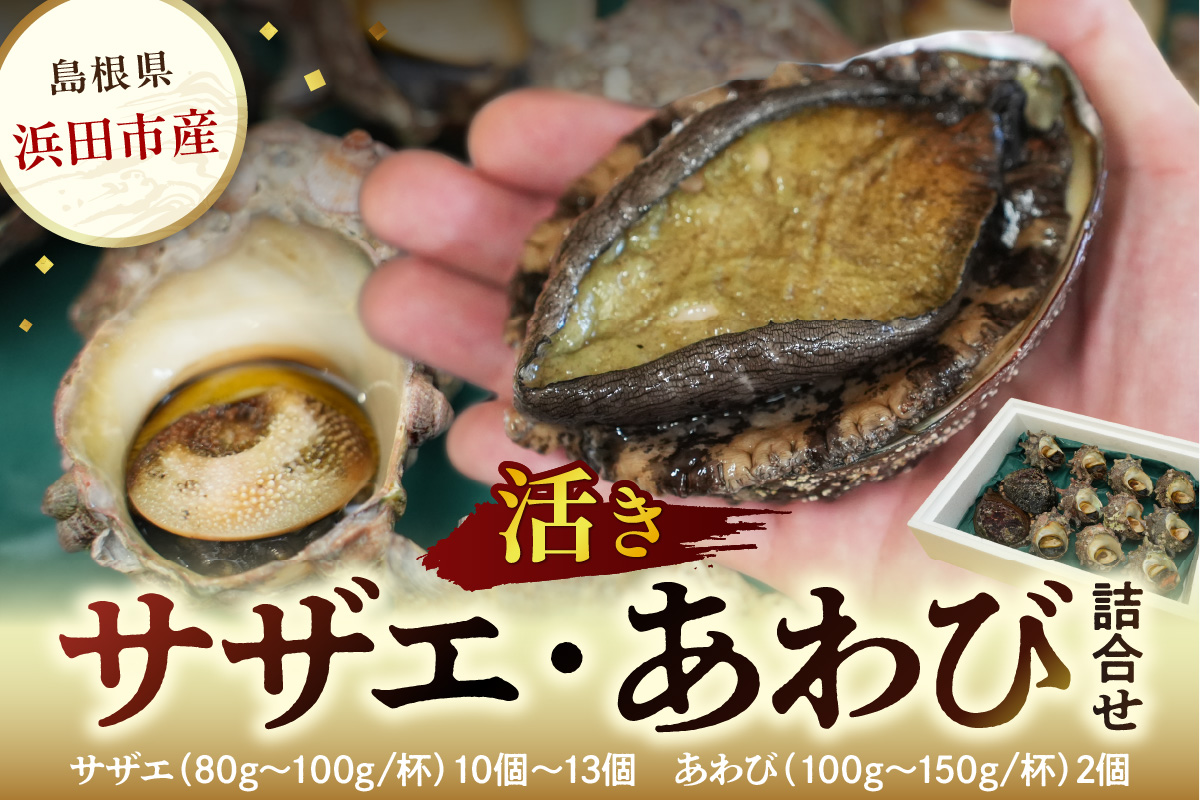 豪華サザエ・あわび詰合せ【本田商店】 海鮮 貝 ふるさと納税 サザエ ふるさと納税 あわび 鮑 詰め合わせ セット BBQ バーベキュー 【033_1775】