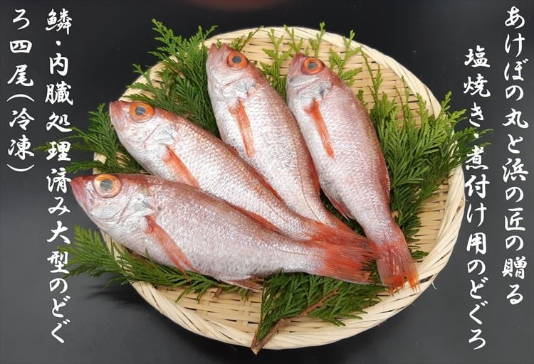山陰浜田港あけぼの丸の塩焼き・煮付け用大型のどぐろセット（冷凍）のどくろ アカムツ 【146_2028】 【146_2028】