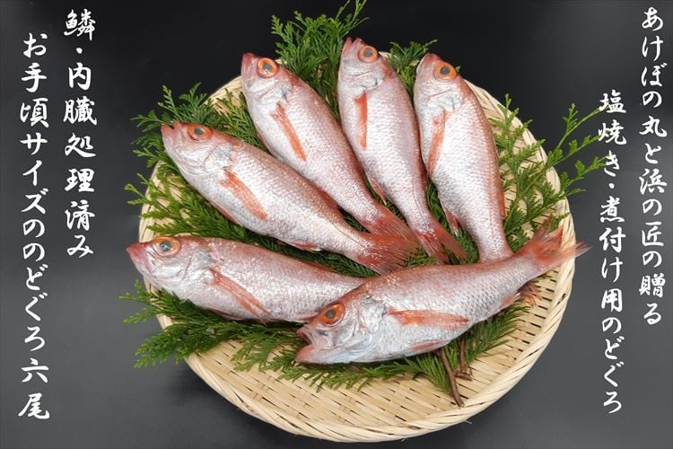 山陰浜田港あけぼの丸の塩焼き・煮付け用お手頃のどぐろセット（冷凍） 魚介類 魚貝類 のどぐろ アカムツ 塩焼き 煮付 内臓処理済み 【146_2043】 【146_2043】