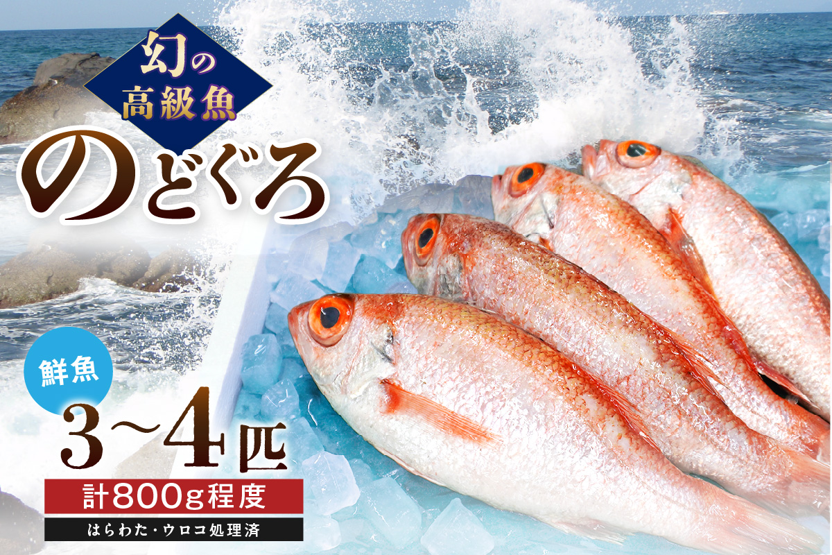 幻の高級魚「のどぐろ（鮮魚）」3～4匹（計800g程度） 魚 鮮魚 海鮮 のどぐろ 冷蔵 高級魚 下処理済 煮付け 塩焼き 【006_2046】