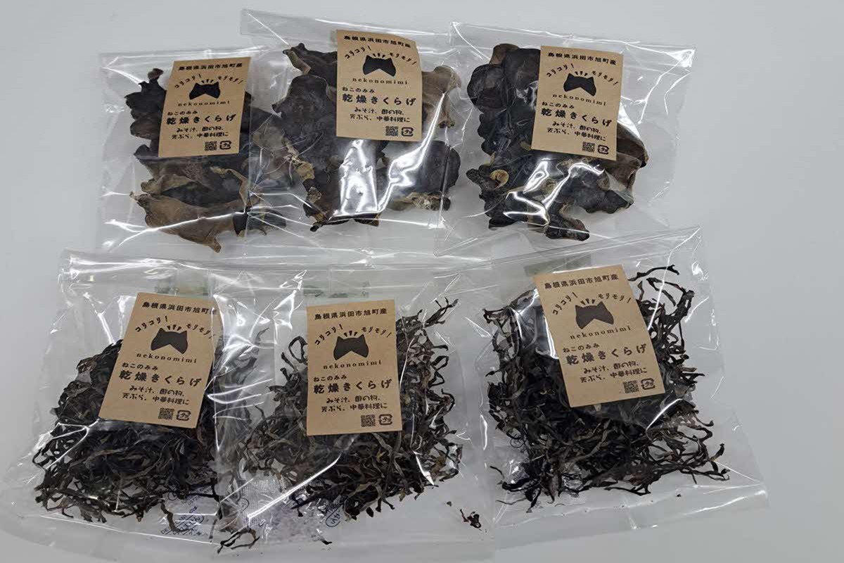 浜田市旭町産ねこのみみ乾燥キクラゲセット 【157_0001】