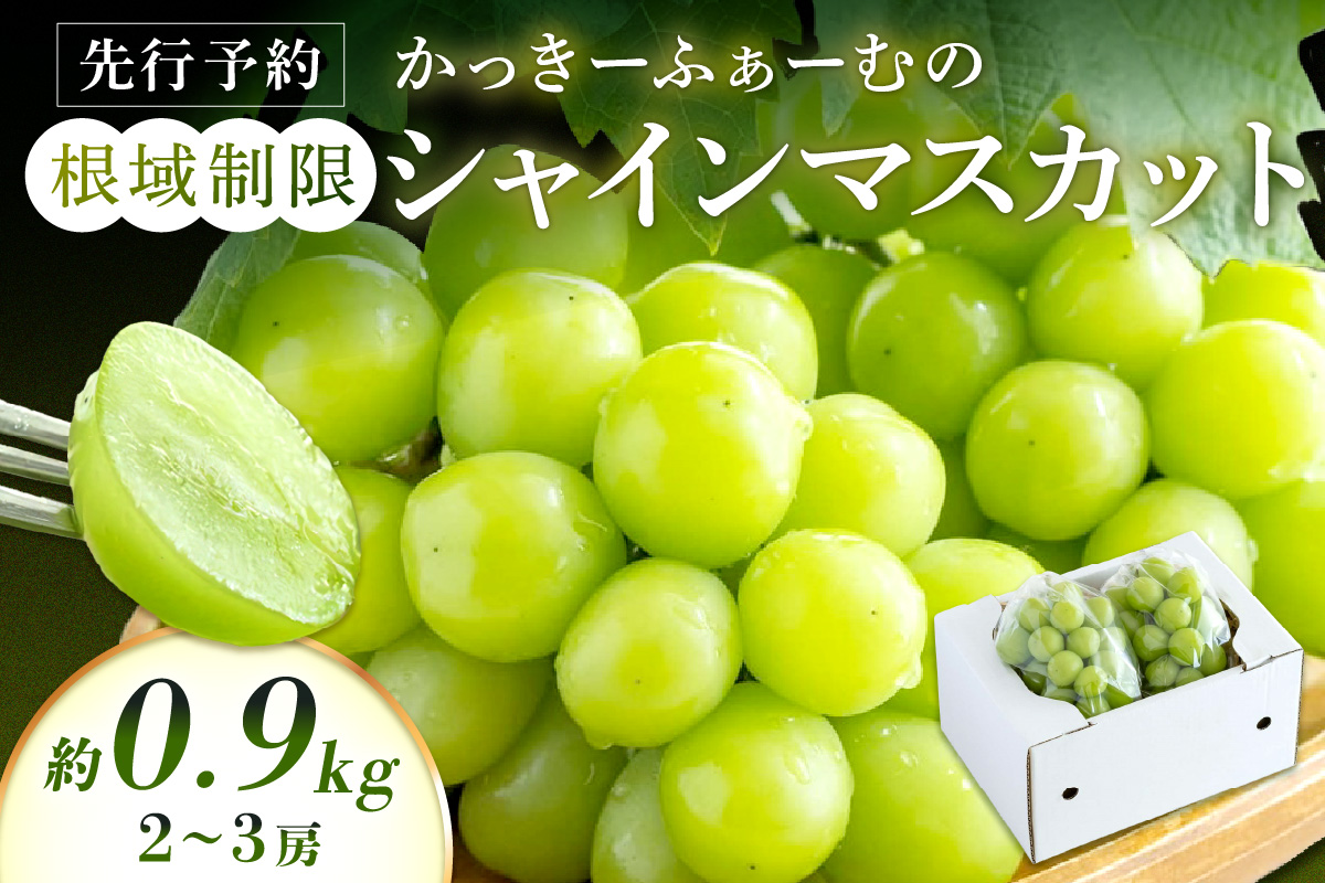 【先行予約】根域制限シャインマスカット 約0.9kg 2～3房《9月中旬頃から発送》 果物 シャインマスカット 【183_1881】