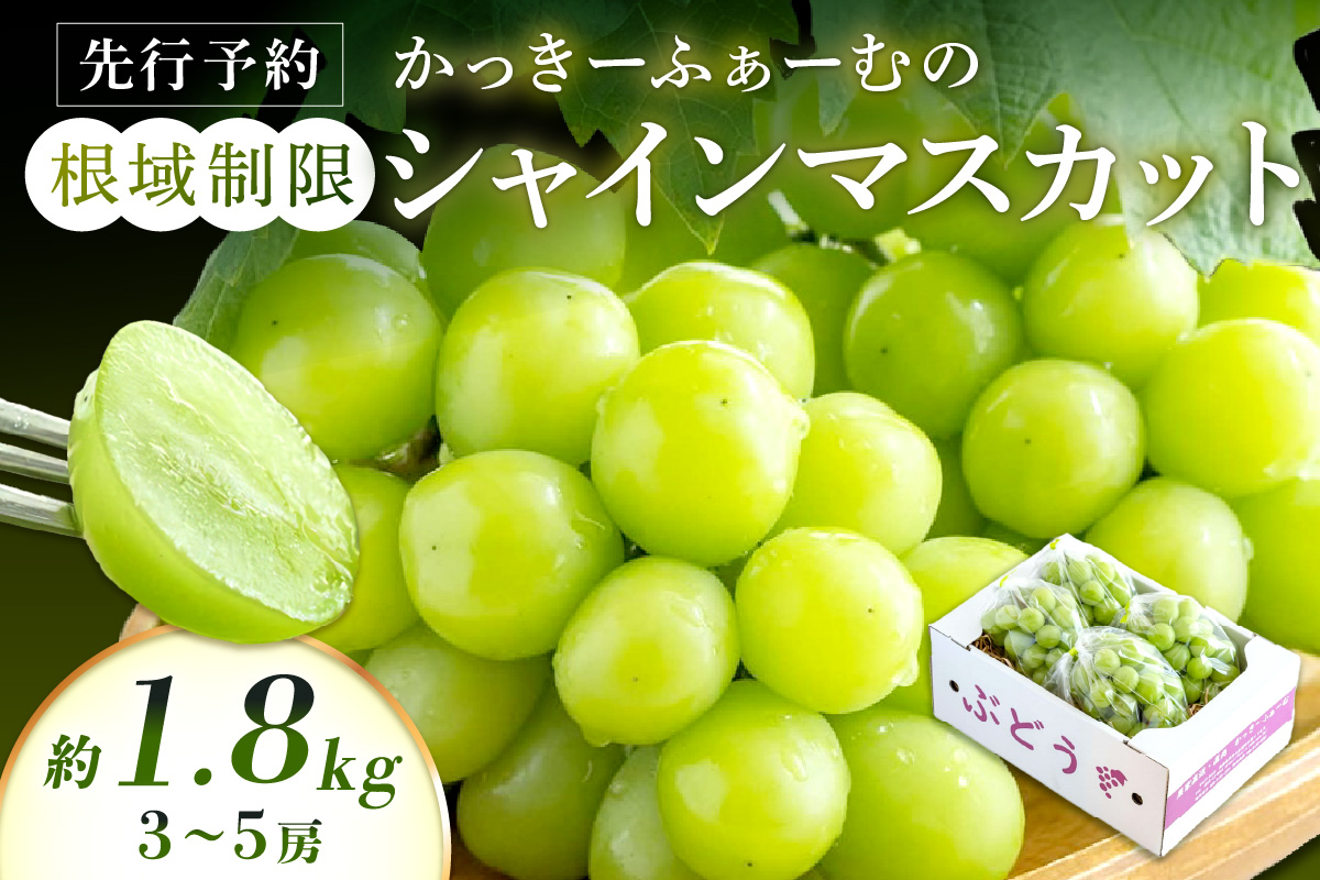 【先行予約】根域制限シャインマスカット 約1.8kg 3～5房《9月中旬頃から発送》 果物 シャインマスカット 【183_1882】