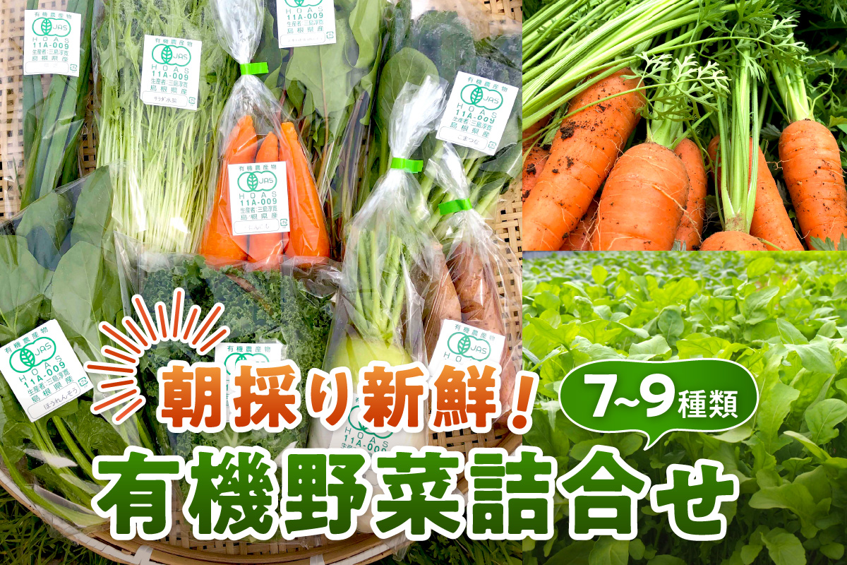 朝採り新鮮！有機野菜セット詰合せ（7～9種類） 採れたて 産地直送 葉物 有機JAS認証 野菜セット 旬の野菜 野菜 【139_1918】