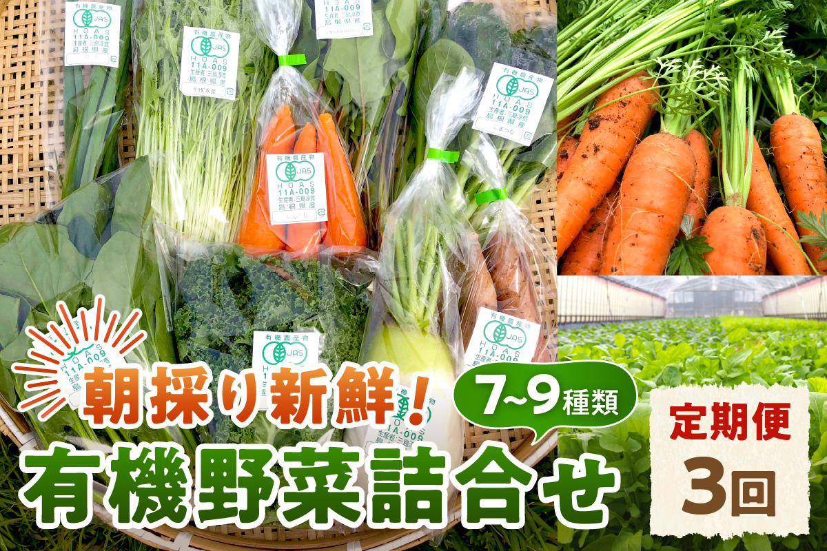 朝採り新鮮！有機野菜セット詰合せ（7～9種類）3回コース【定期便】 定期便 採れたて 産地直送 葉物 有機JAS認証 野菜セット 旬の野菜 ふるさと納税 野菜【139_1919】